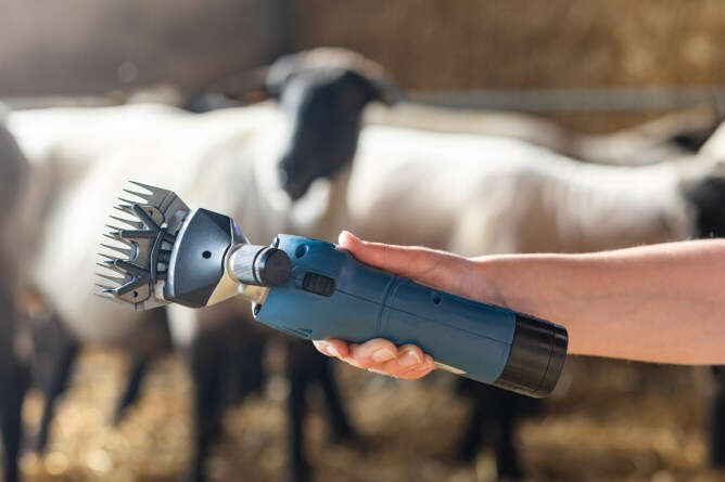 KERBL FarmClipper für Schafe Akku2